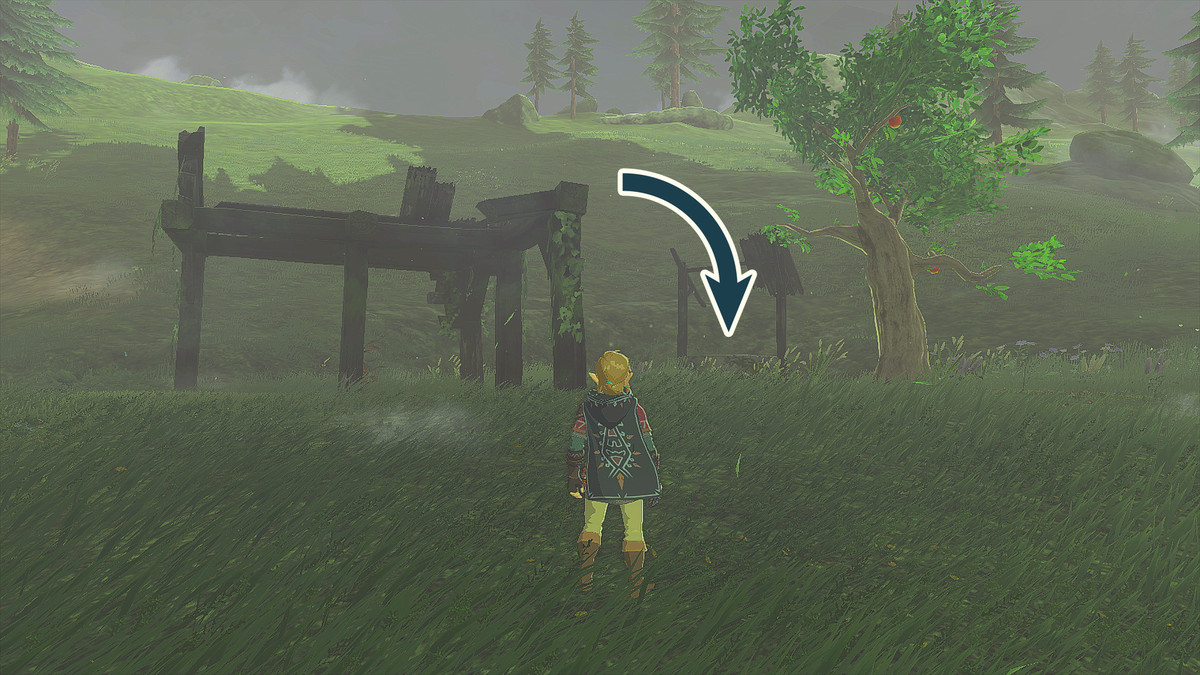The Legend of Zelda: Tears of the Kingdom Link standing outside of Elma Knolls Well.