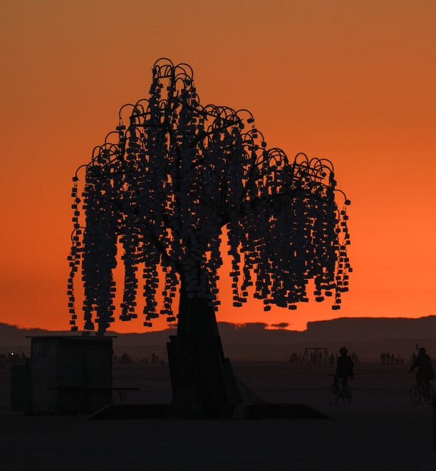 The dawn illuminates the "Elder Mother' tree art installation at Burning Man.