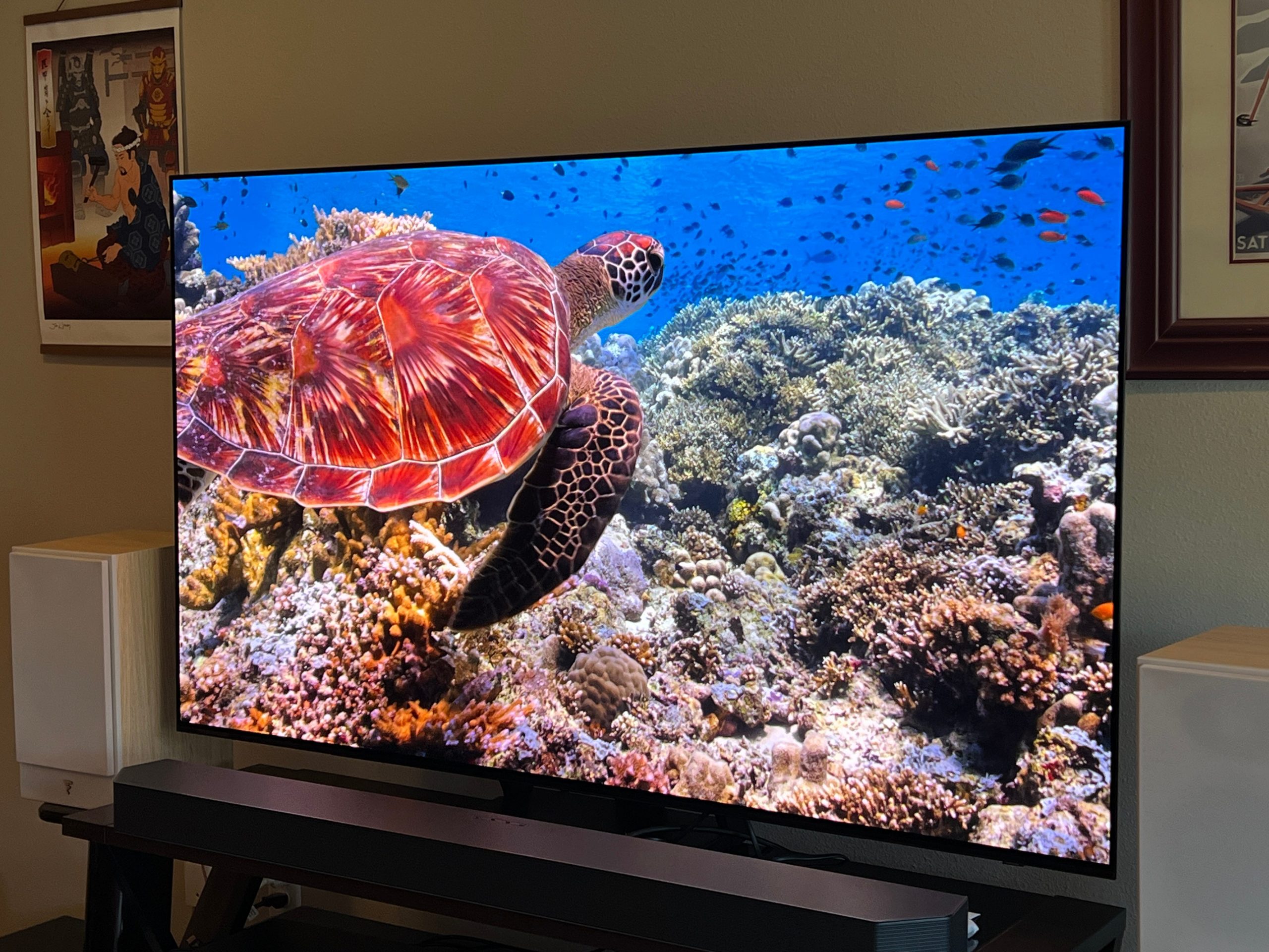 The Samsung S90C television with an undersea shot on the screen, captured from the side.