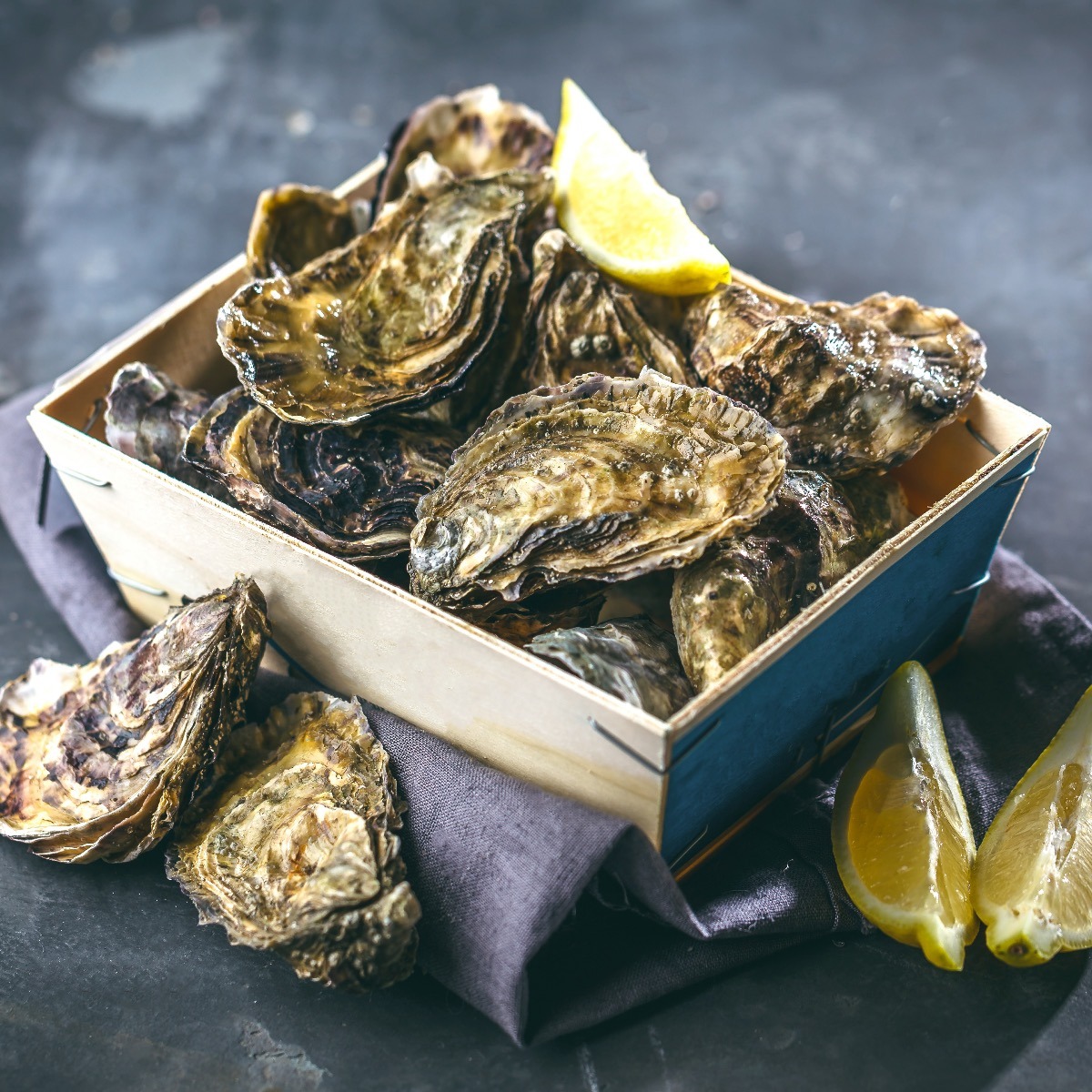 All About Oysters