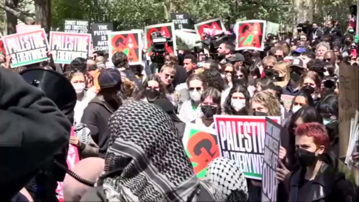 nyu protest in park