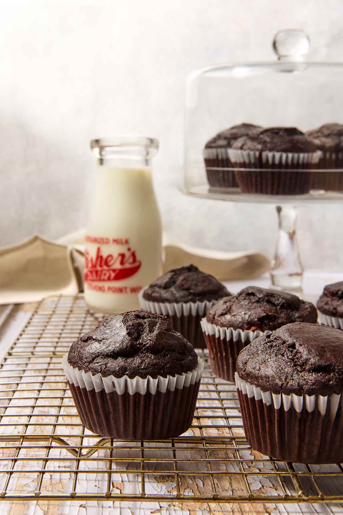 Chocolate muffins cooling on a wire rack.