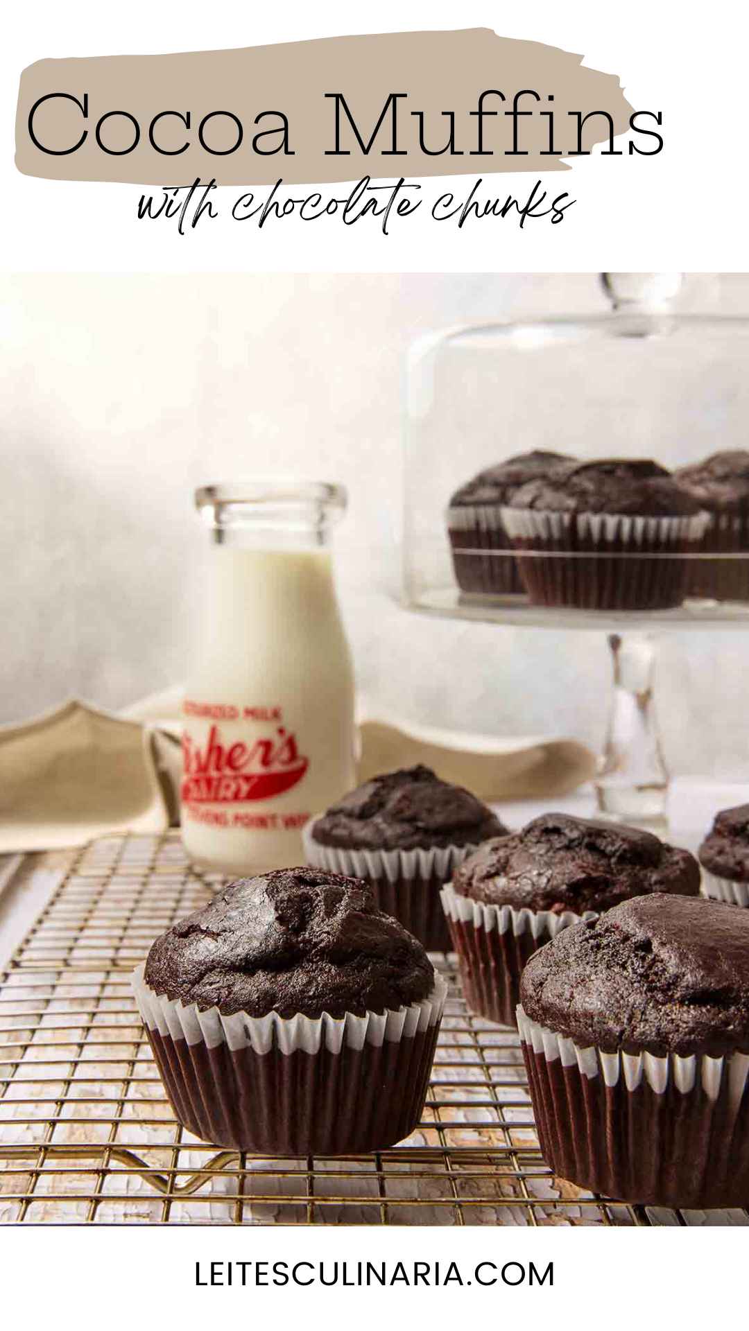 Chocolate muffins cooling on a wire rack.