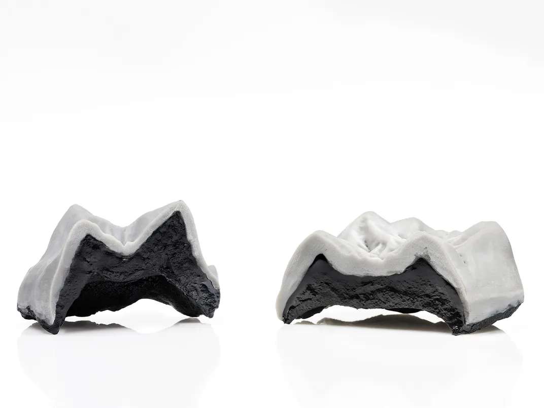 3D Prints of Buronius Molars