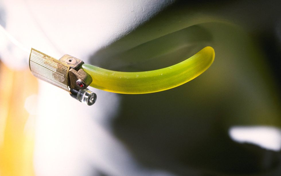 Closeup photo of a yellow curved piece of plastic extending in front of a mannequinu2019s eye.