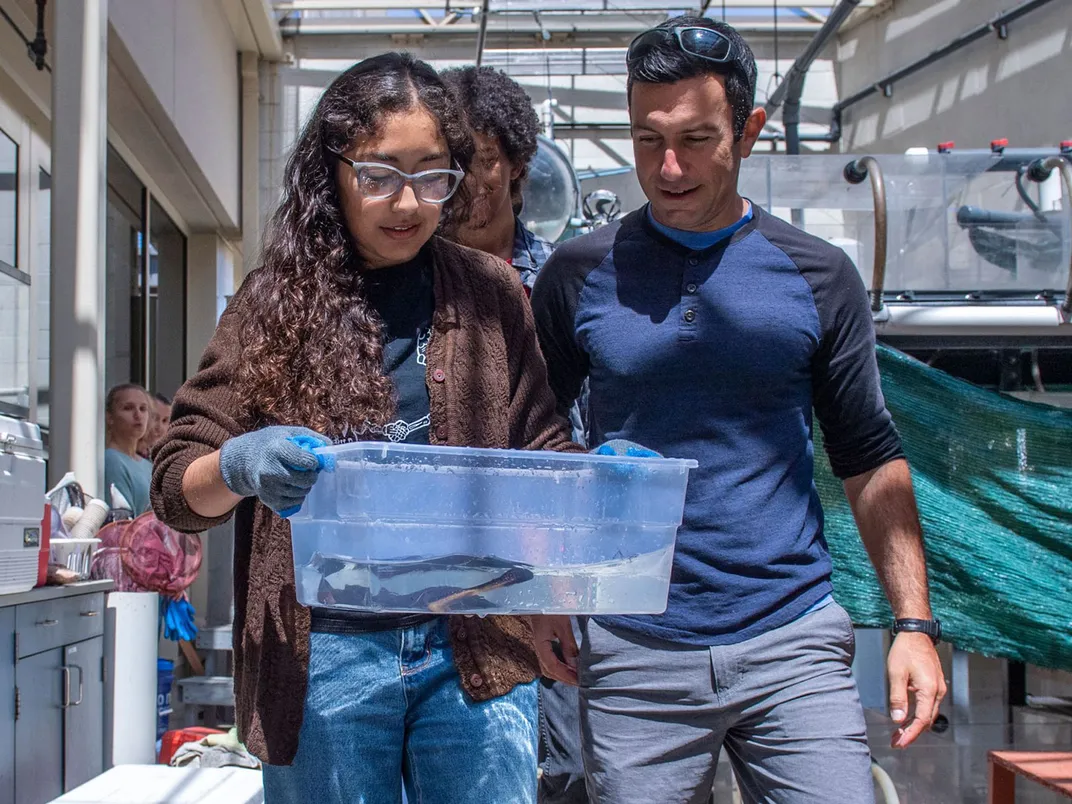 Researchers Transport a Ray