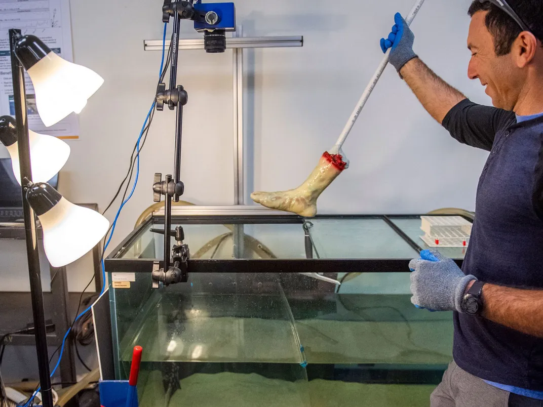 Researcher Holding a 3D Printed Foot