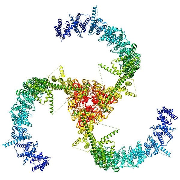 Protein Channel