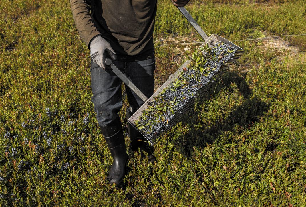 Hand-held rakes