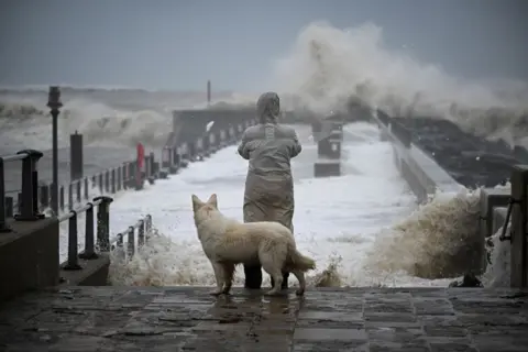 Getty Images A person and their dog watch the waves in West Bay, Dorset, November 2023