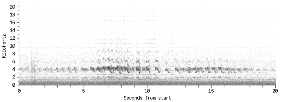 A chart plotting frequency against time, showing a 10-second-long surge of acoustic activity. 