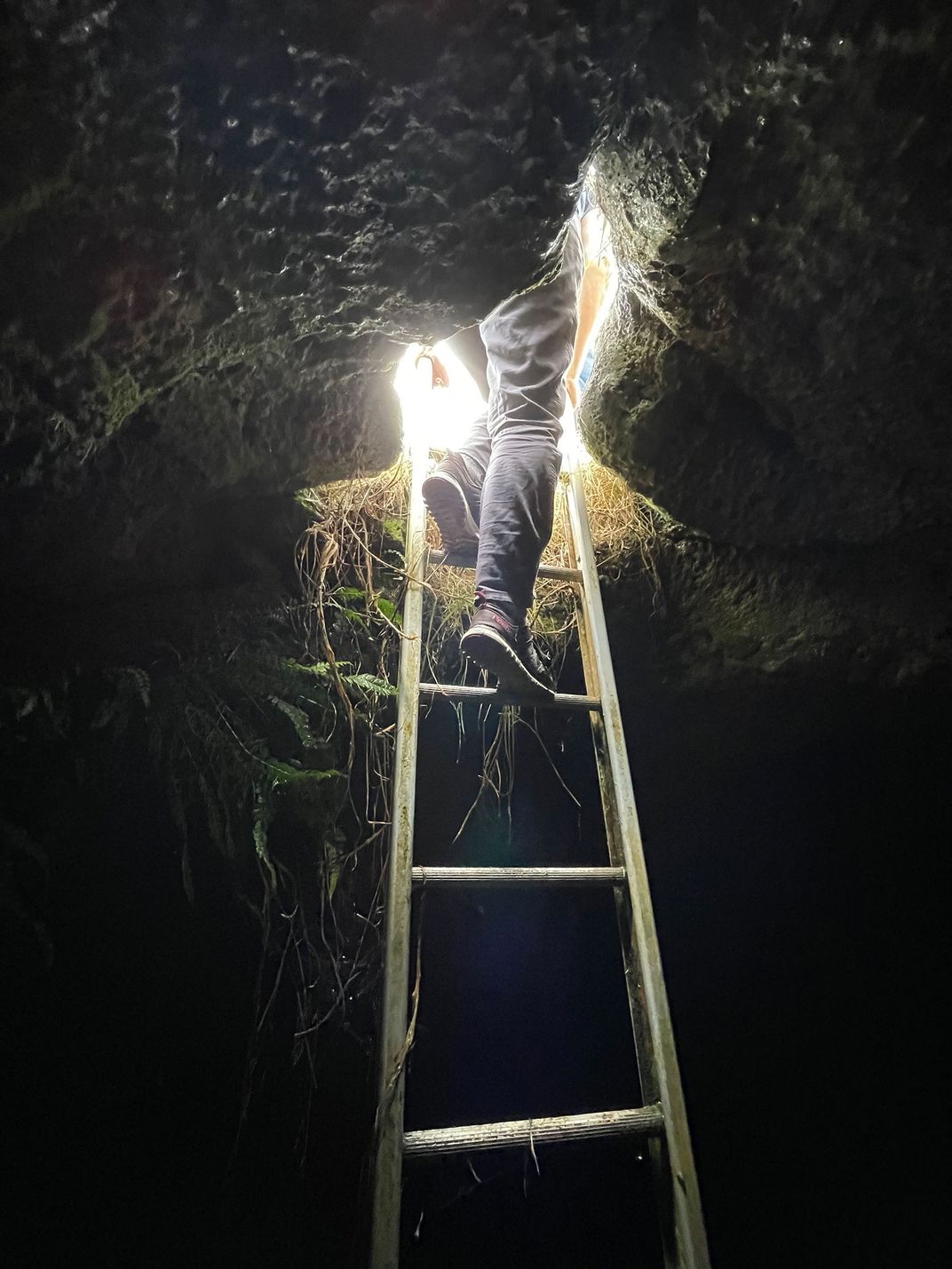 Auckland Cave Exit