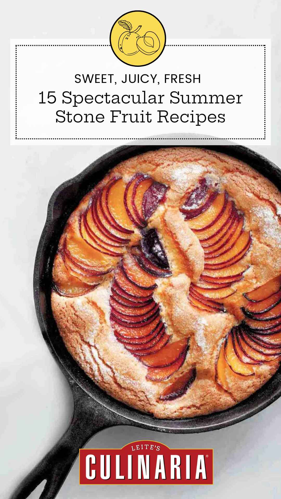 A skillet cake with sliced plums fanned through the batter.