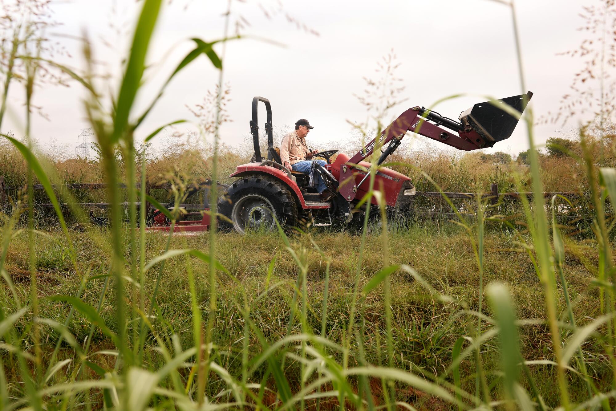 A man drives a red tractor on a grassy area  