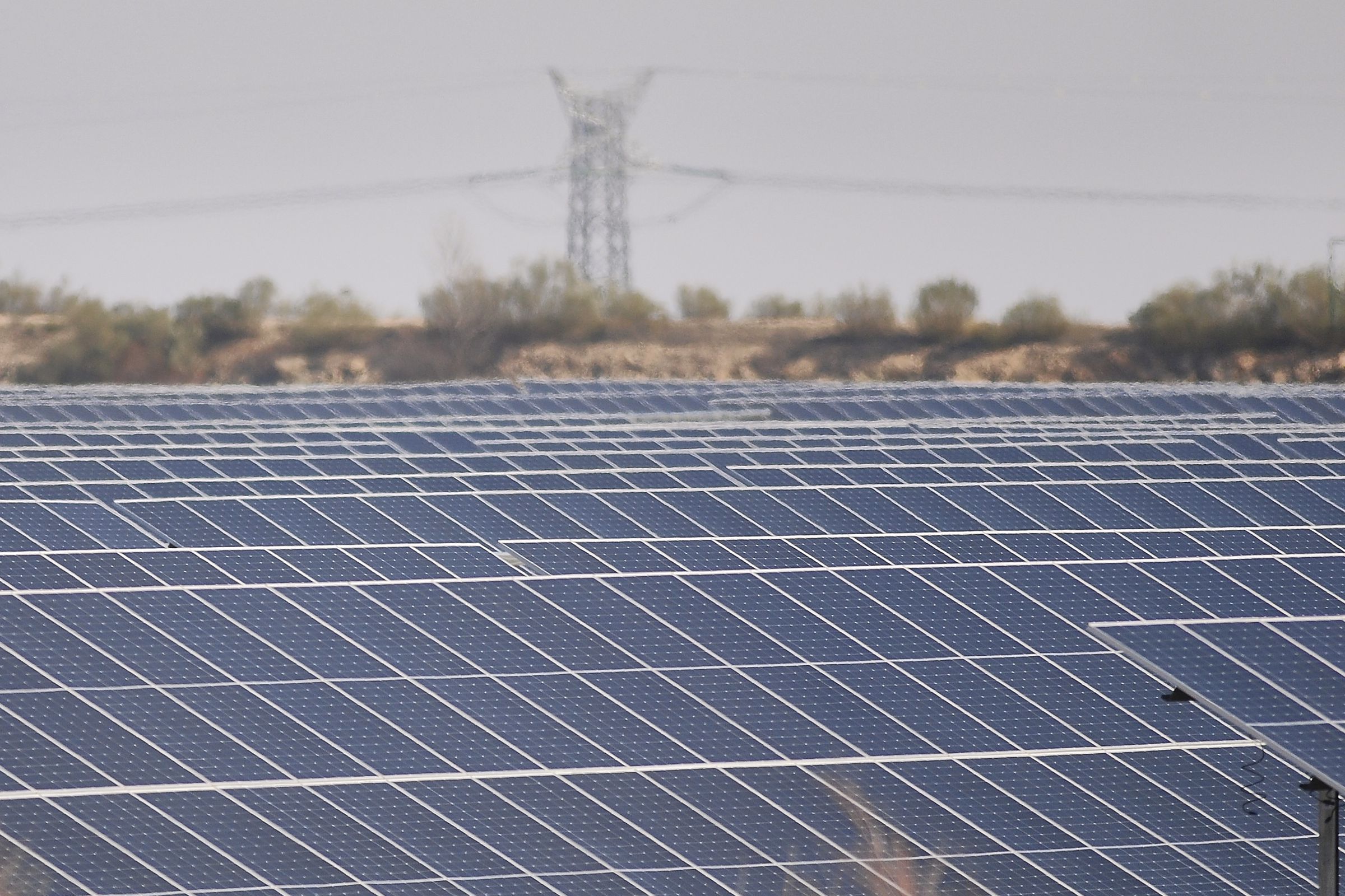 Rows of solar panels seen in the foreground, with a power lines seen in the background.