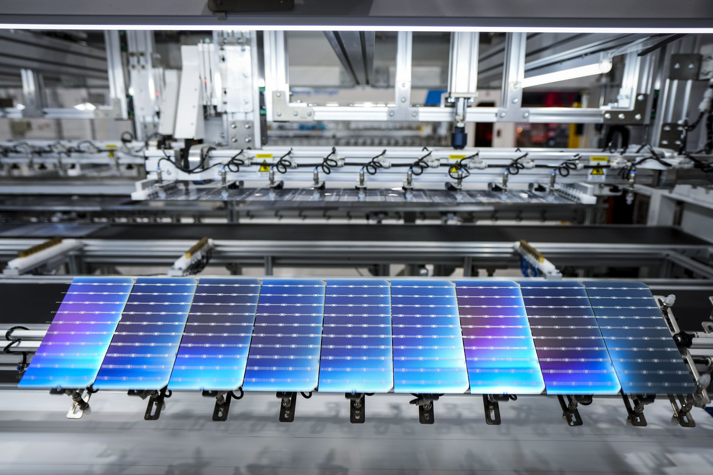 Rows of solar cells seen on a production line.