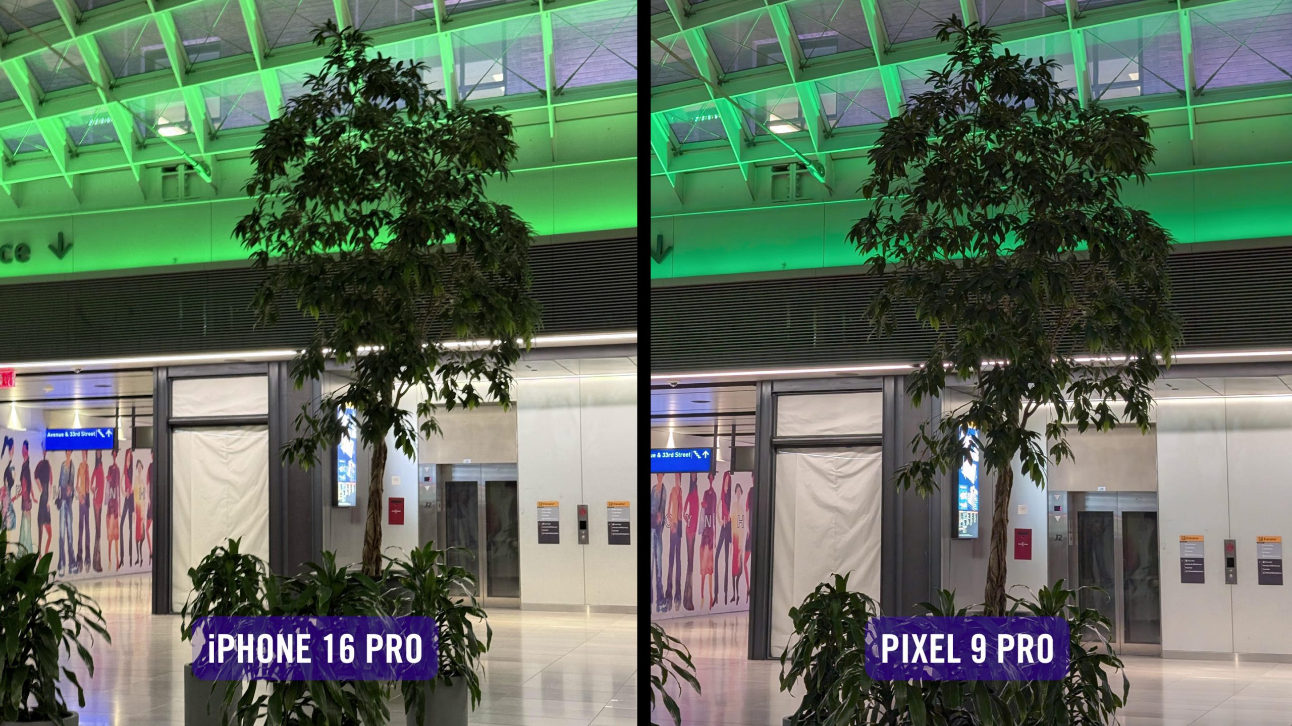 A composite of sample images from the iPhone 16 Pro and the Pixel 9 Pro.