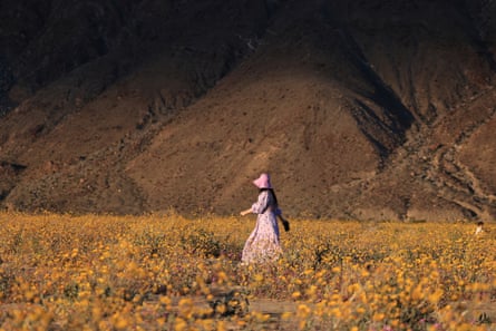 A woman walks through a flowery field by the mountains