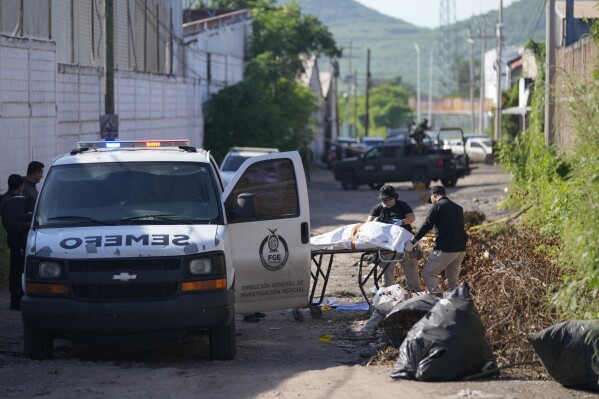 Forensic investigators remove a body from the street in La Costerita, Culiacan, Sinaloa state, Mexico, Thursday, Sept. 19, 2024. (AP Photo/Eduardo Verdugo)