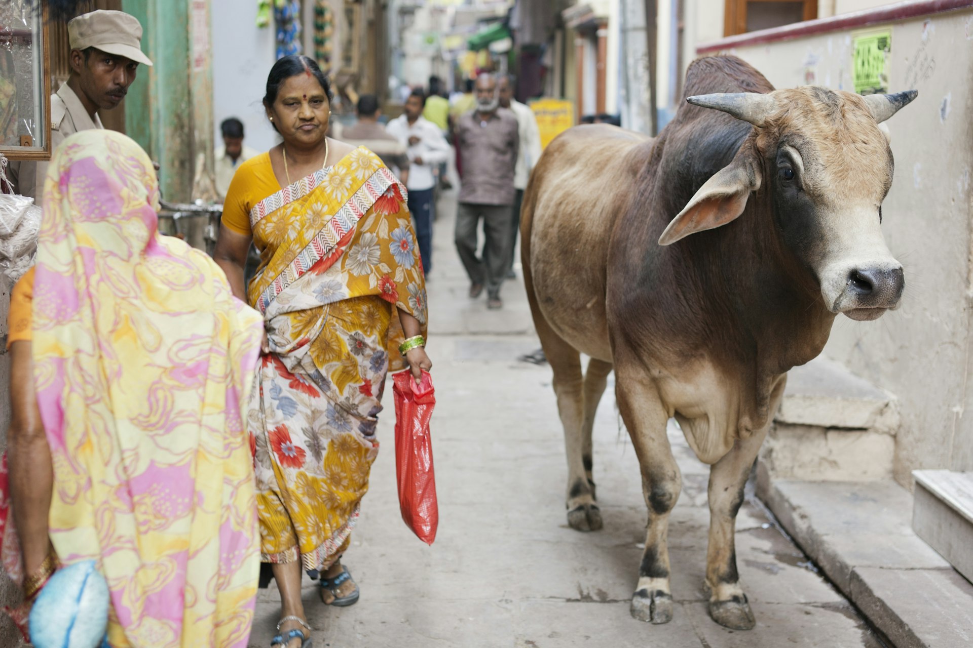 A woman passes a cow in the narrow back streets of the Old Town of Varanasi, India