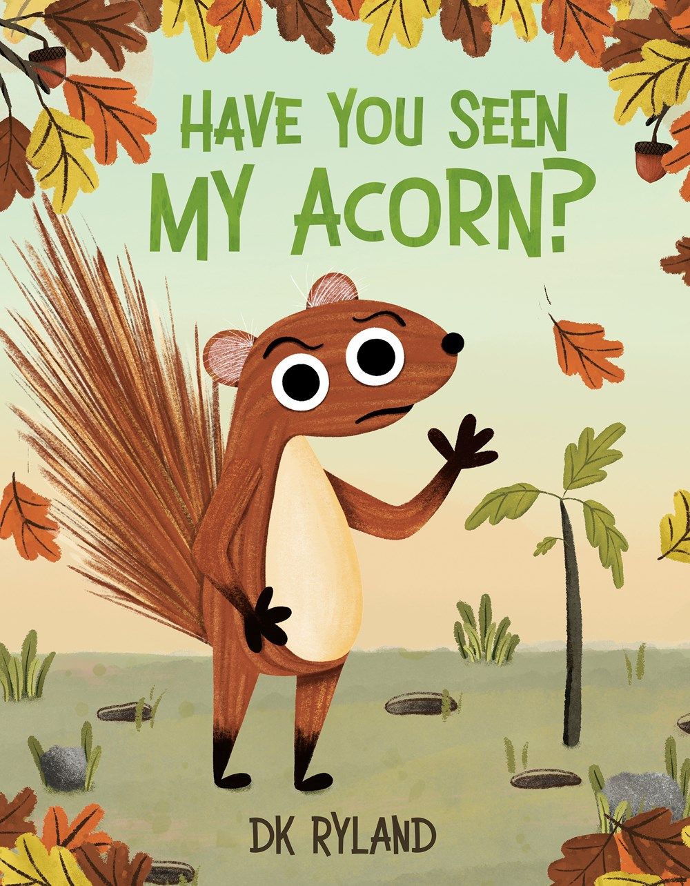 Cover of Have You Seen My Acorn? by DK Ryland