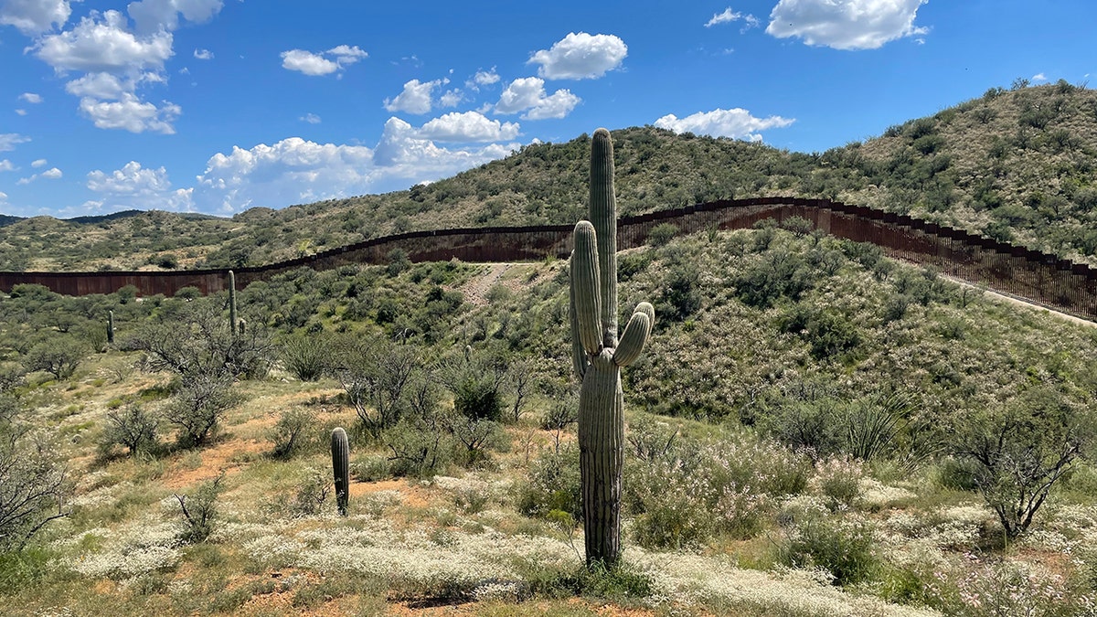 Border wall Aricava