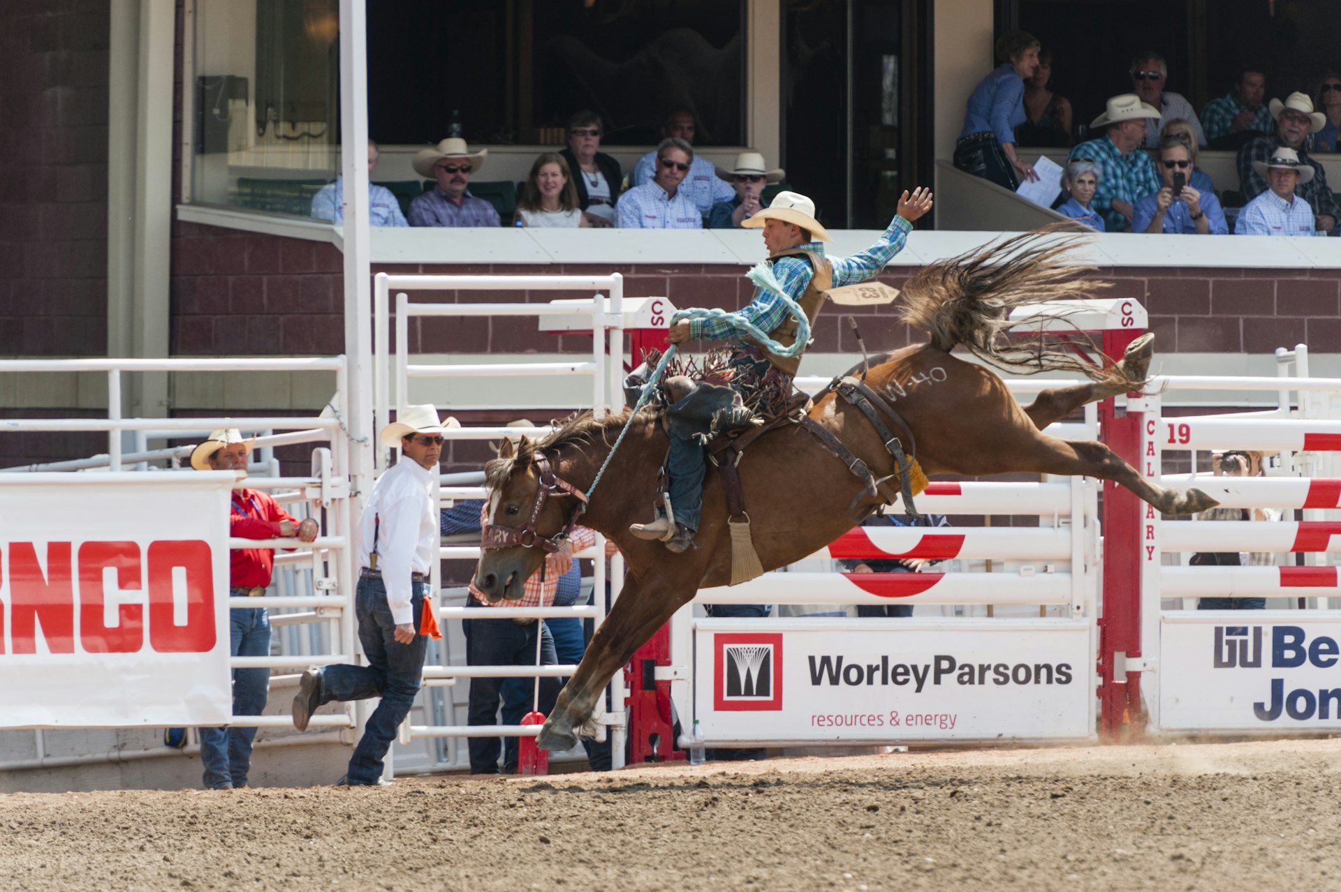 A horseback rider rides a brown horse bareback with crowds of onlookers in a stadium