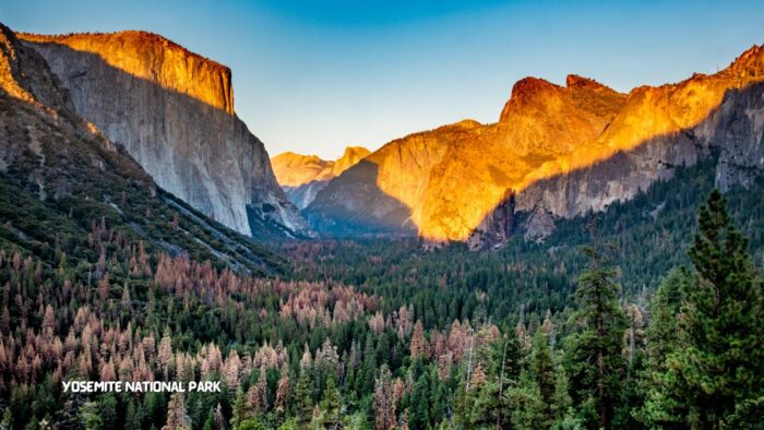 Yosemite National Park