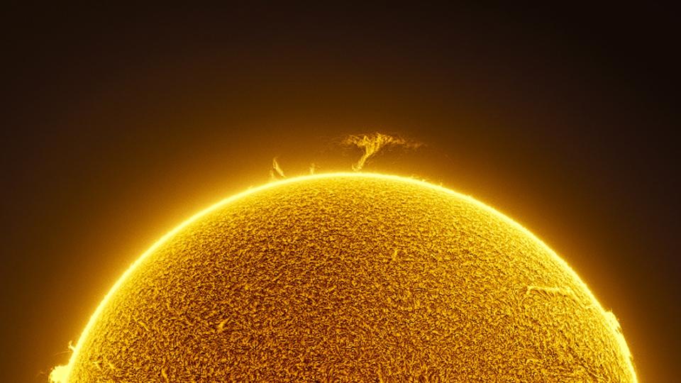 a tree-like eruption rises from the topmost edge of the sun