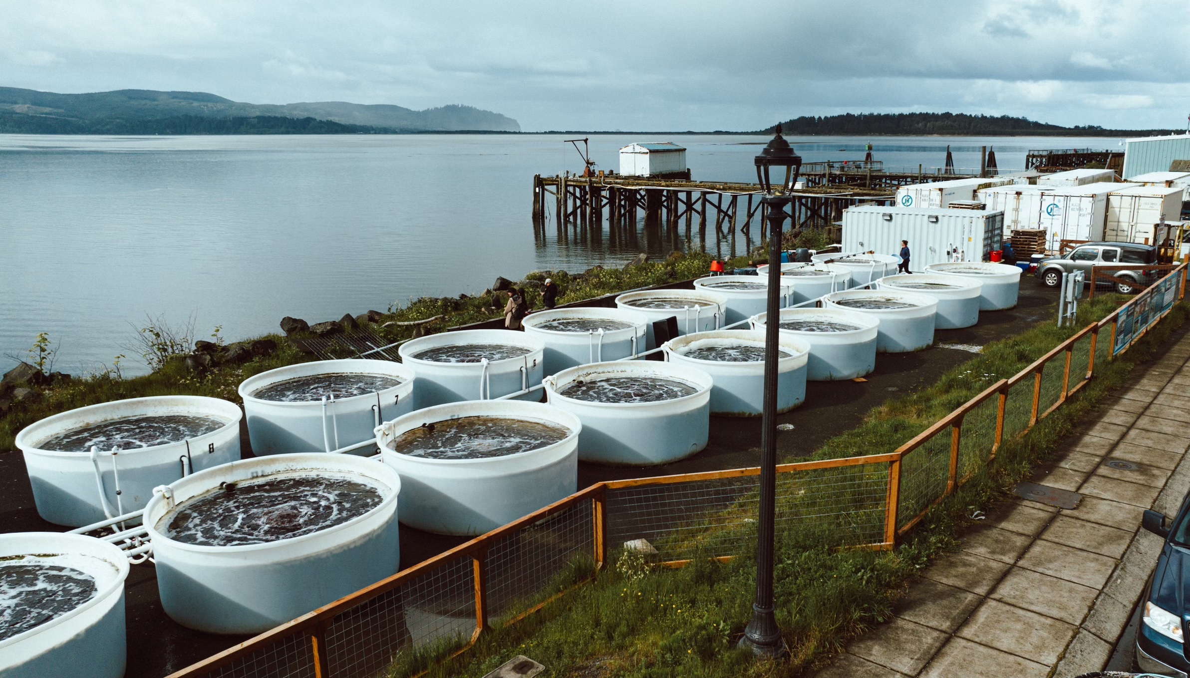 large white tanks filled with water and seaweed on coast