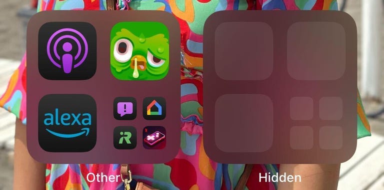 The Hidden apps folder next to the Other folder