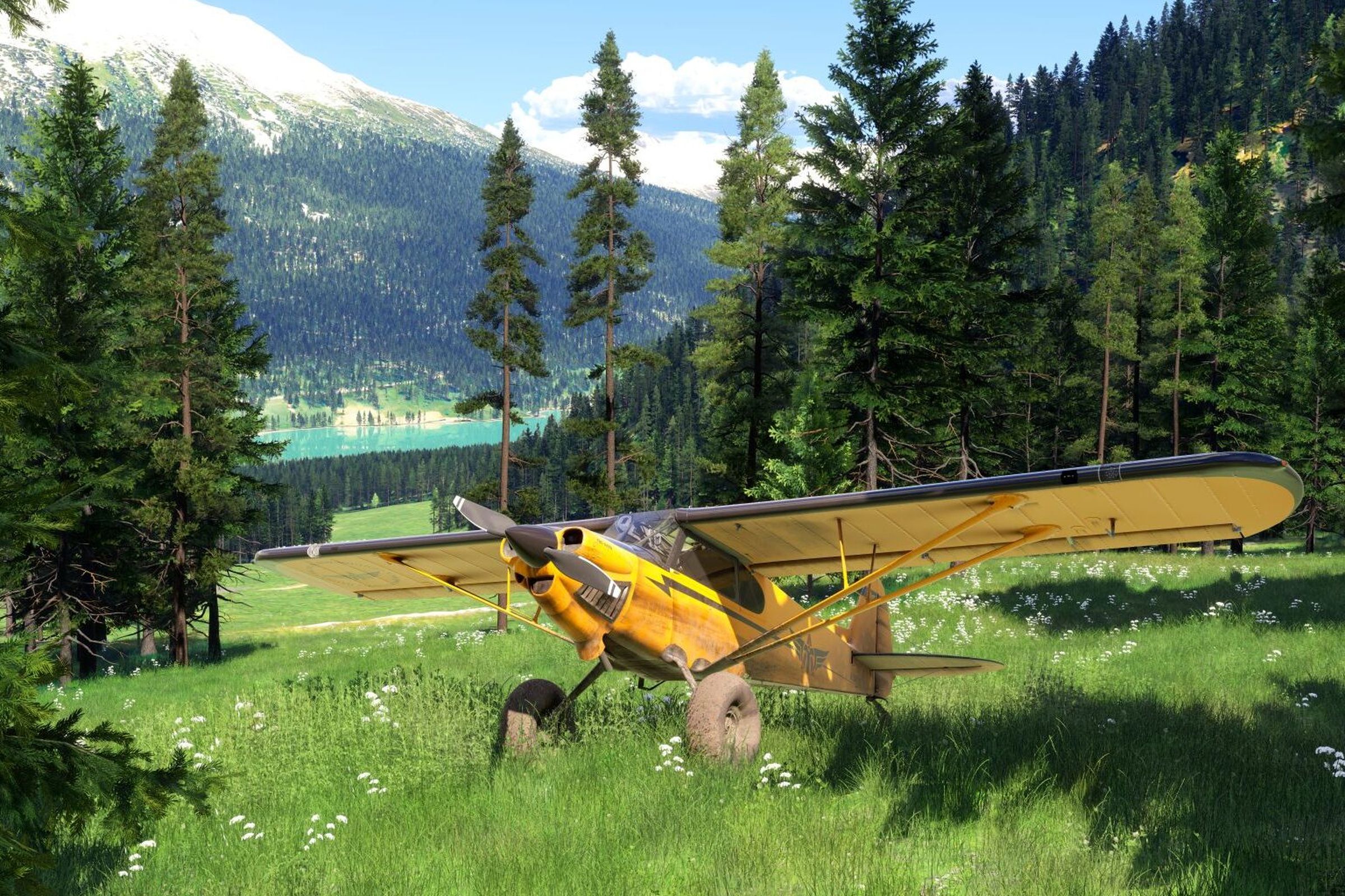 A plane sitting in a grassy field surrounded by forest in Microsoft Flight Simulator 2024.