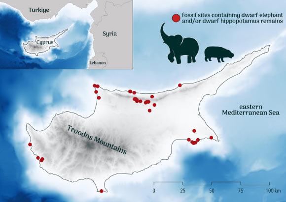 Map of Cyprus showing the approximate position of fossil sites where dwarf elephants and hippos have been retrieved. Image credit: Corey J.A. Bradshaw / Flinders University.