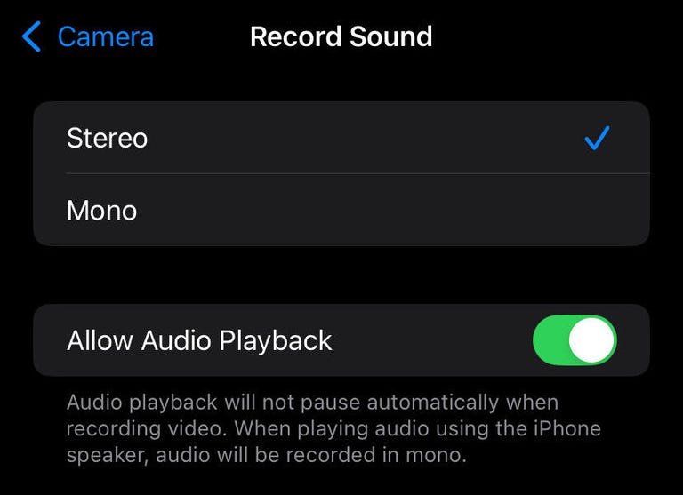 The Record Sound menu in the iOS 18 beta