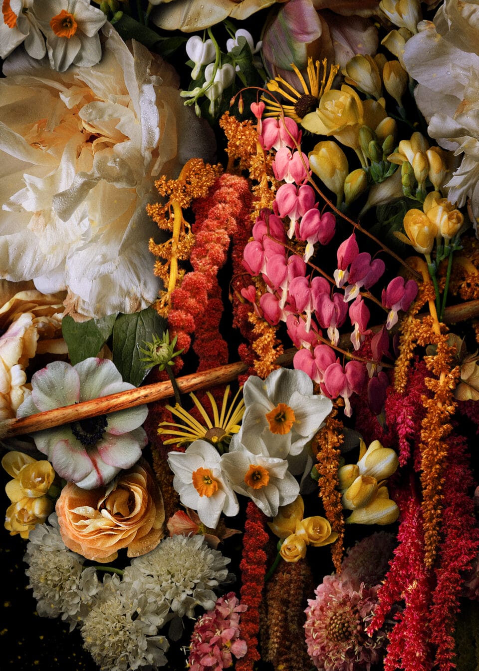 a detail image of vibrant botanicals in a digital collage