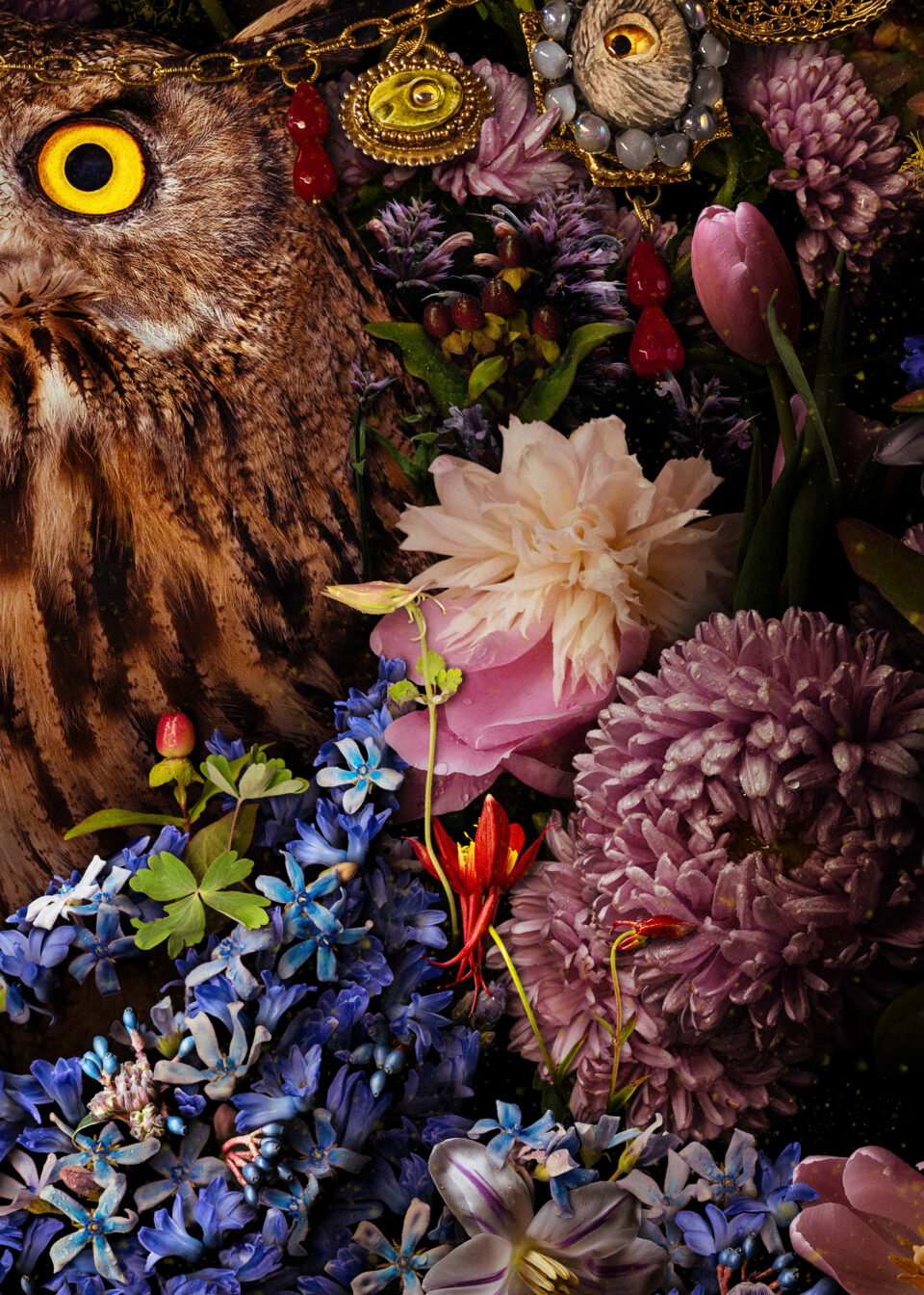 a detail image of vibrant botanicals and an owl in a digital collage