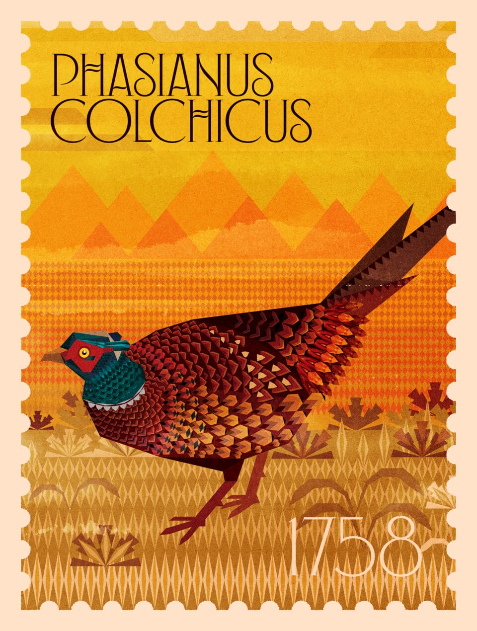 an illustrated stamp with a pheasant and the words "phasianus colchicus, 1758"