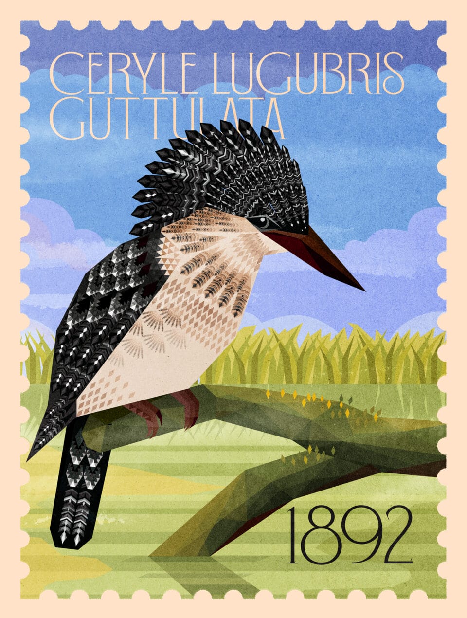 an illustrated stamp with a black bird perched on a branch and the words "ceryle lugubris guttulata, 1892"