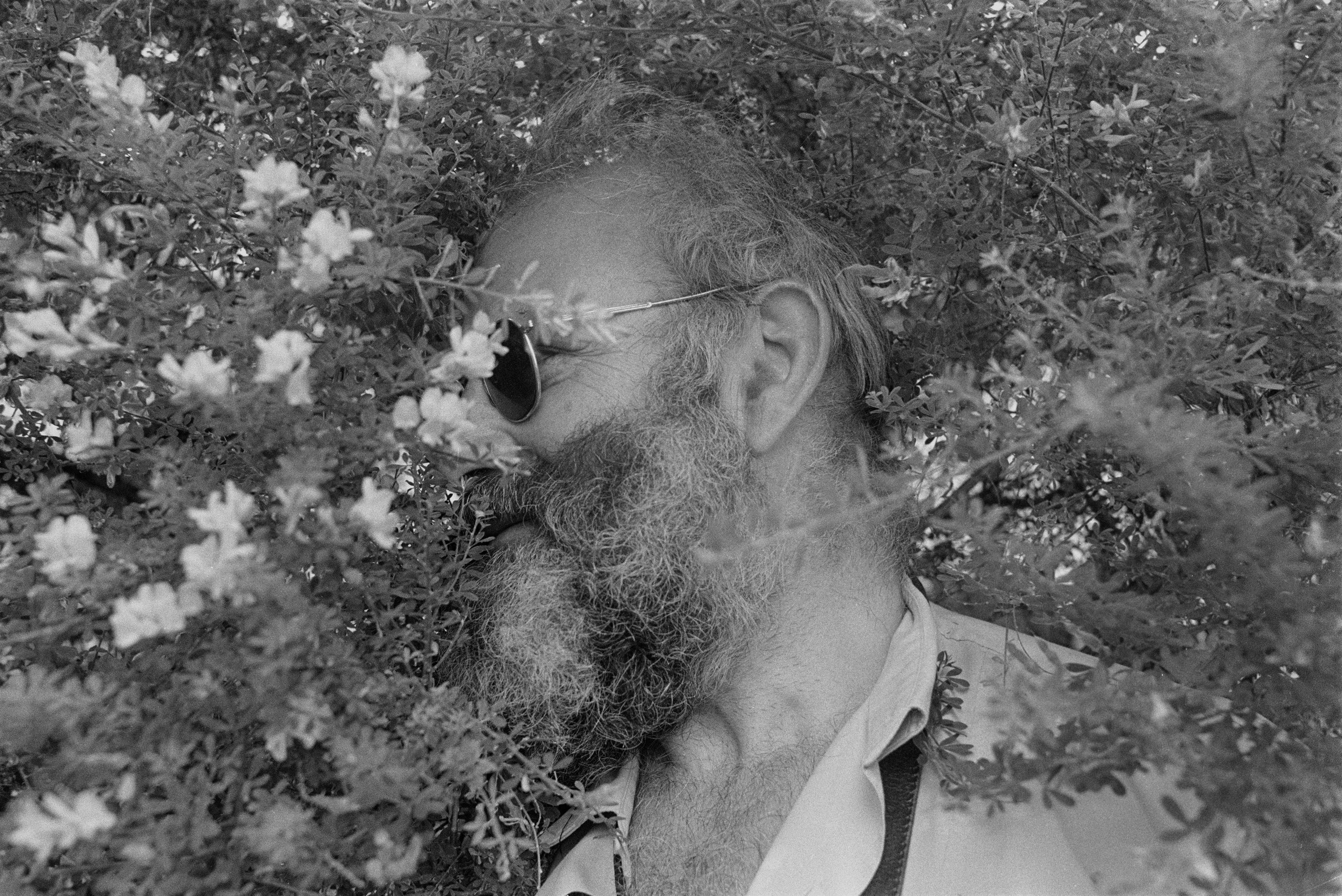 Oliver Sacks his face turned into the leaves of a plant photographed by Lowell Handler in black and white in 1988.