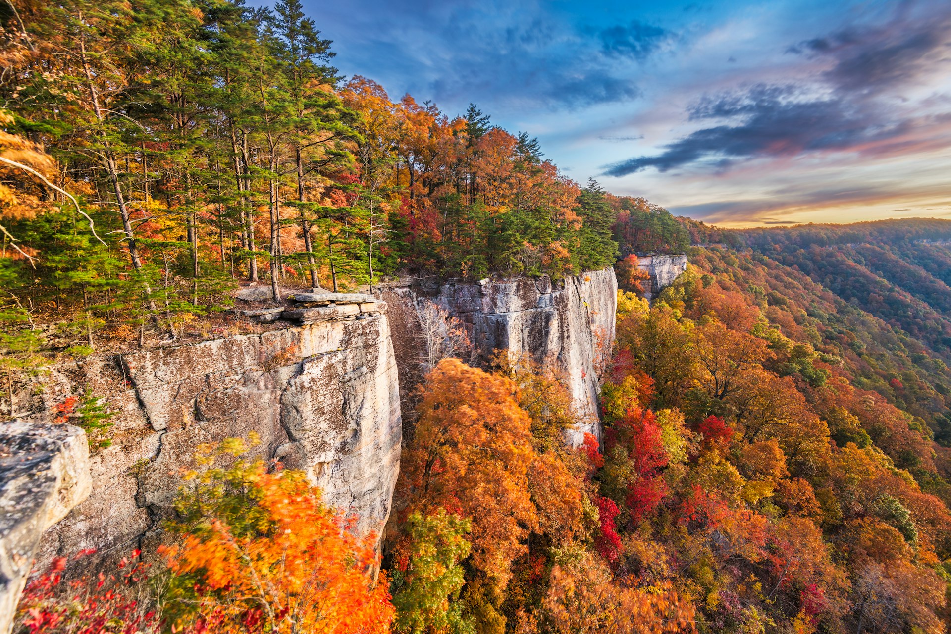 A vast cliff face topped with trees with leaves of orange, yellow, and gold 