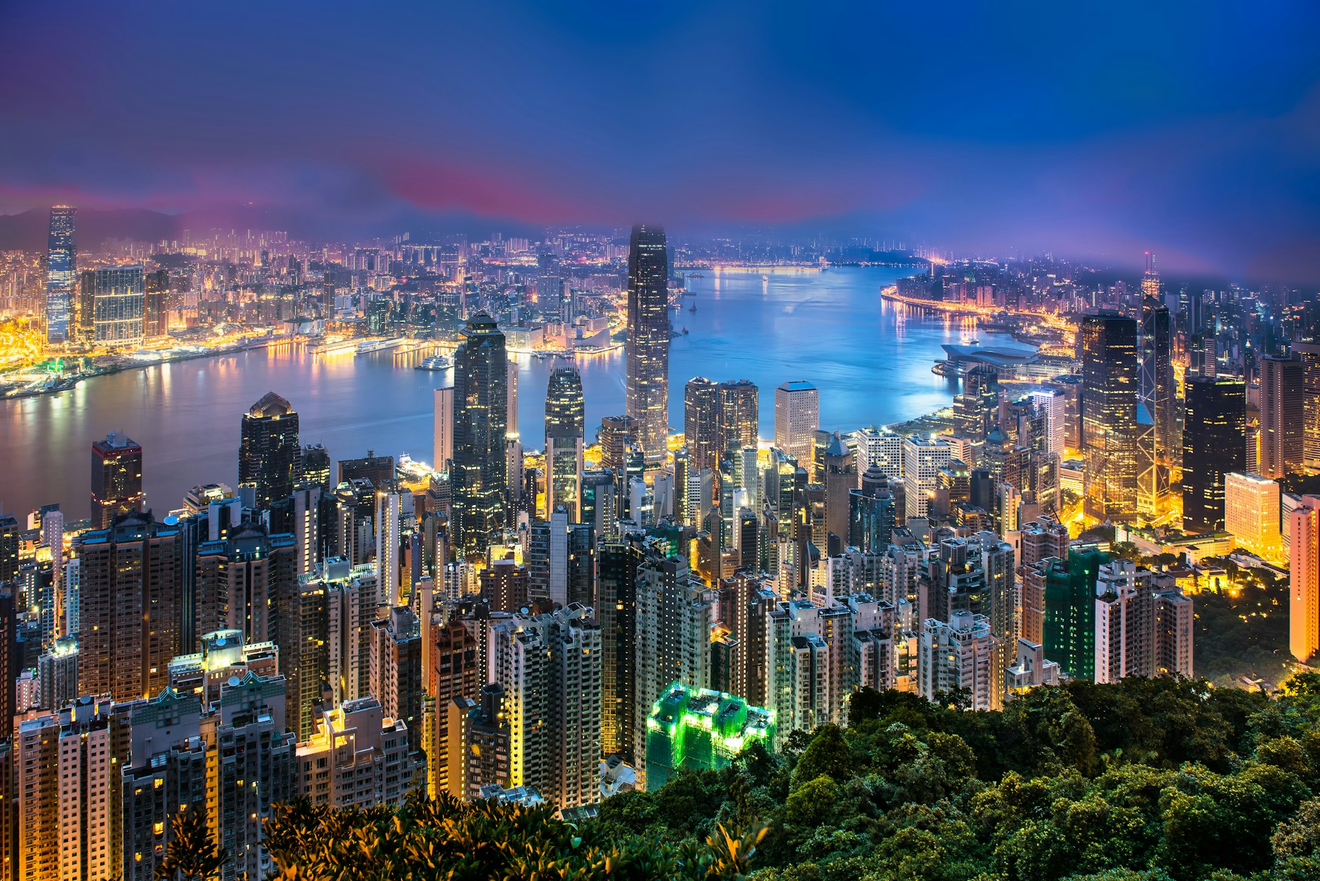 A city skyline at night, with trees in the foreground and colorful skyscrapers in the background