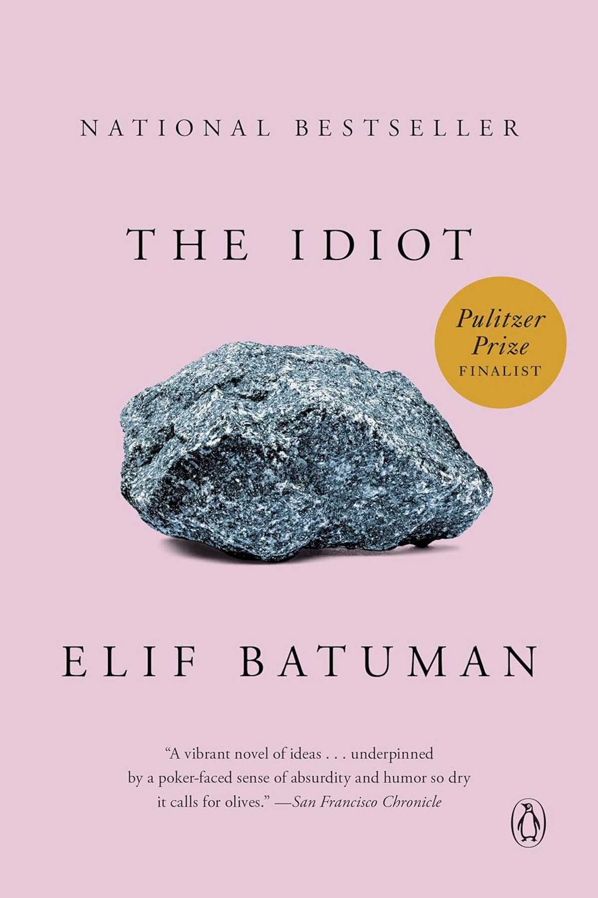 book cover for The Idiot